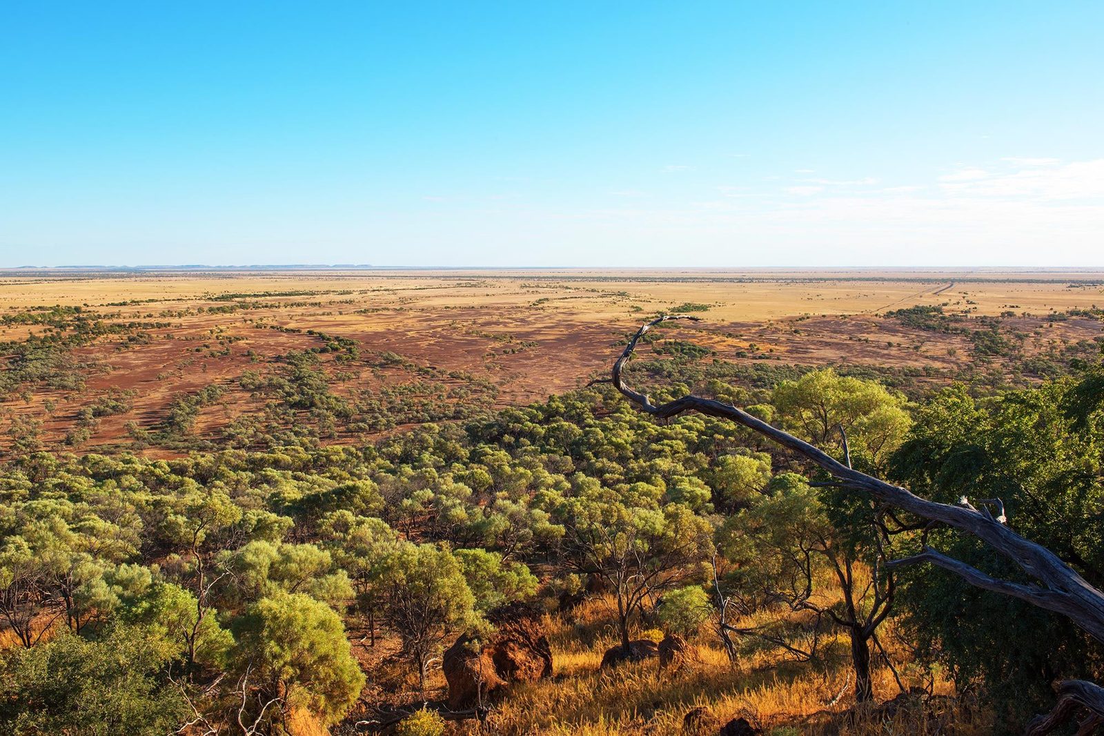 Longreach & Region
