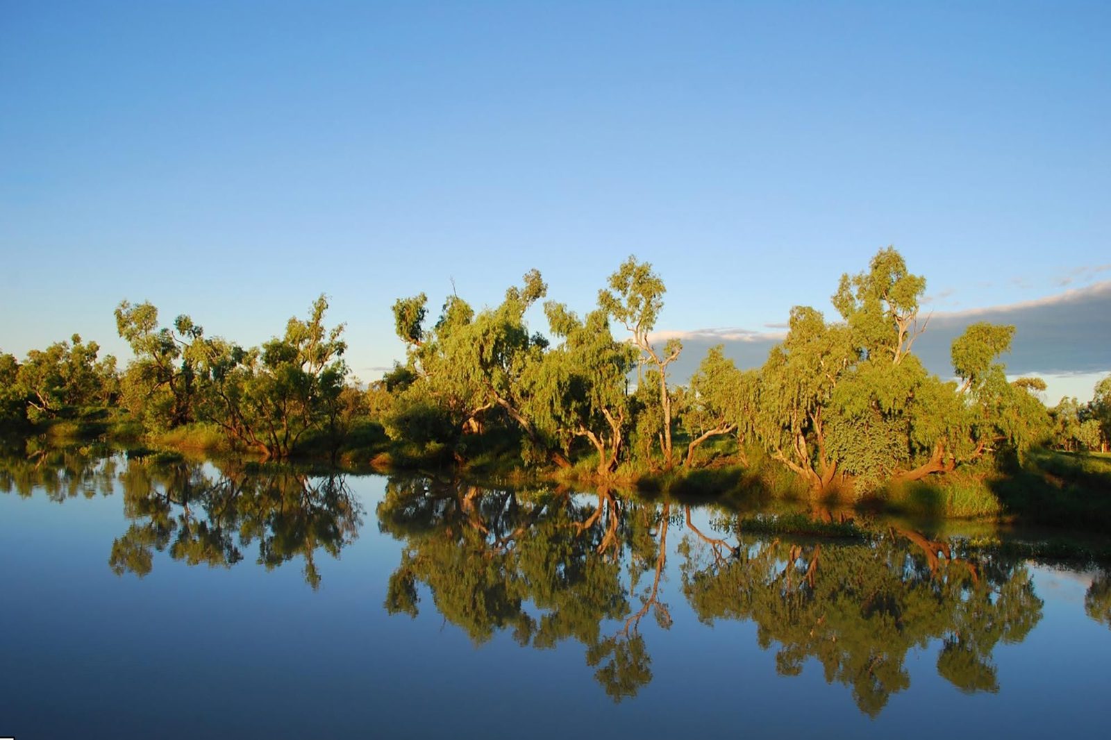Thompson River Cruises
